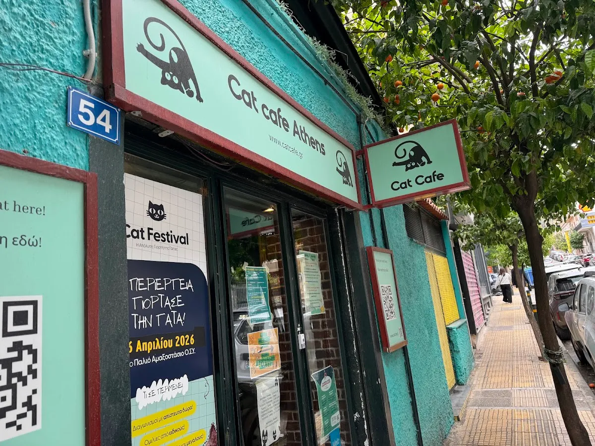 BookNoFees : Café – Cat Cafe Athens – Athens – Cat Café Athènes, photo n° 1