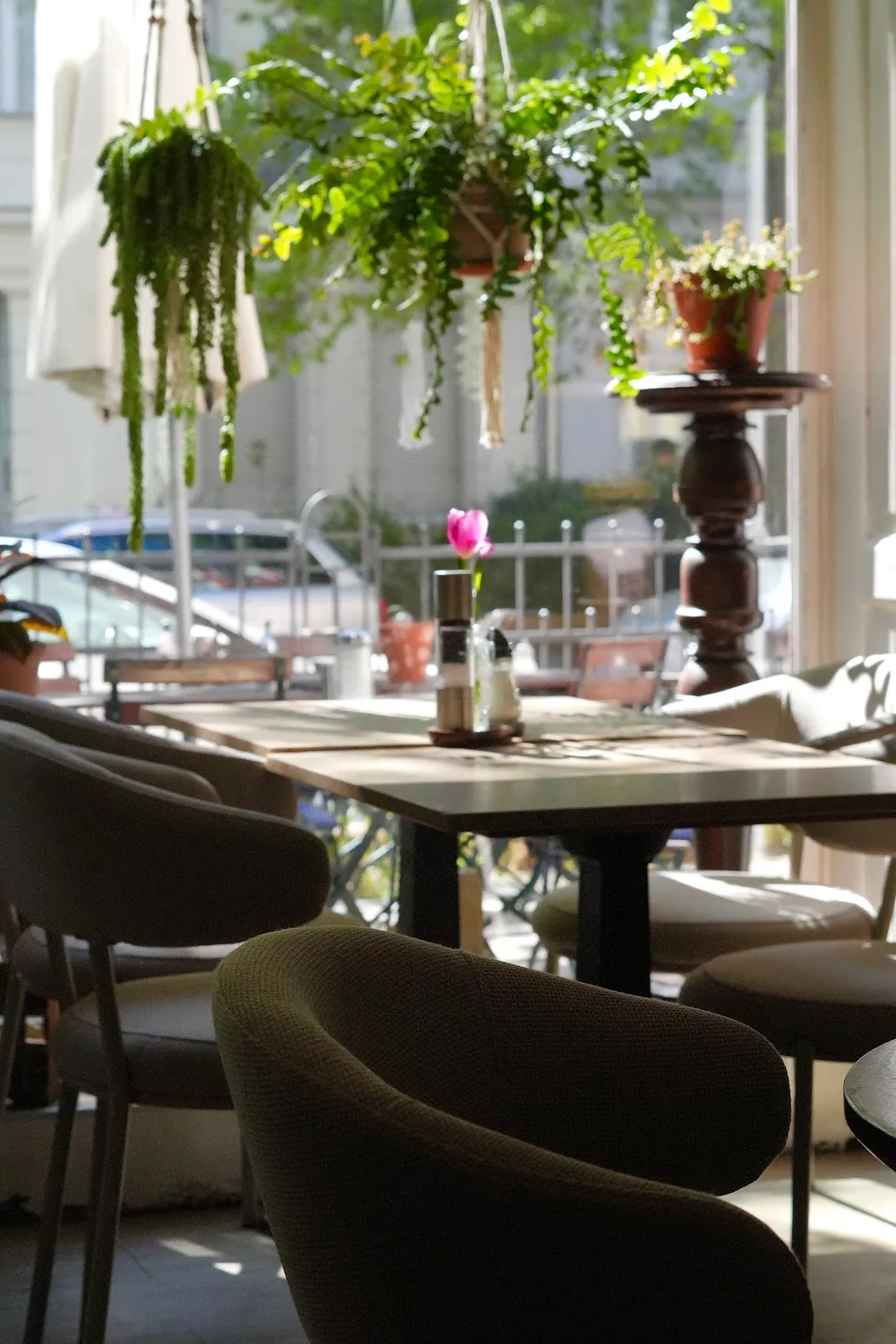 BookNoFees : Café – Café Behring – Berlin – Café Behring, photo n° 1