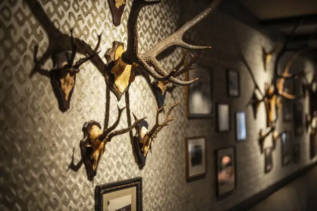 BookNoFees : Restaurant – Hotel Jagdhaus Wiese – Schmallenberg – Hôtel Jagdhaus Wiese, photo n° 3