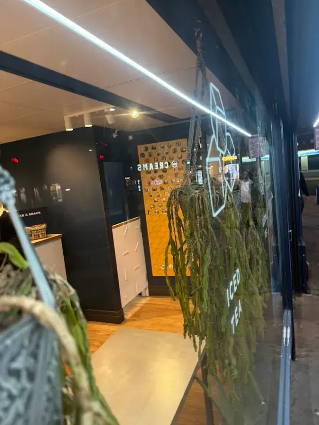 BookNoFees : Café – Cupp Bubble Tea – London – Cupp Bubble Tea, photo n° 2