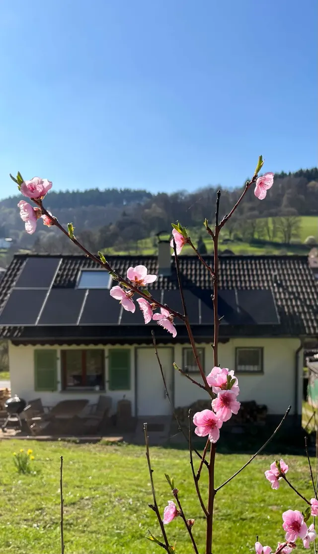 BookNoFees : location de vacances à Allemühl – Maison de vacances Allemühl : une maison rien que pour vous !