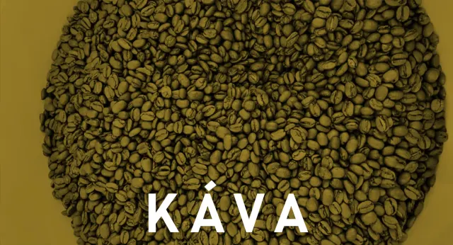 BookNoFees : Café – Ala Coffee – Prague – Aller à la rubrique « Café », photo n° 2