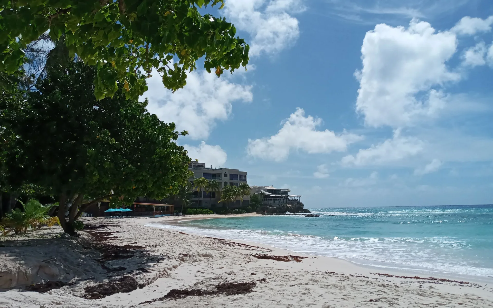 Plage et mer turquoise près de Bridgetown