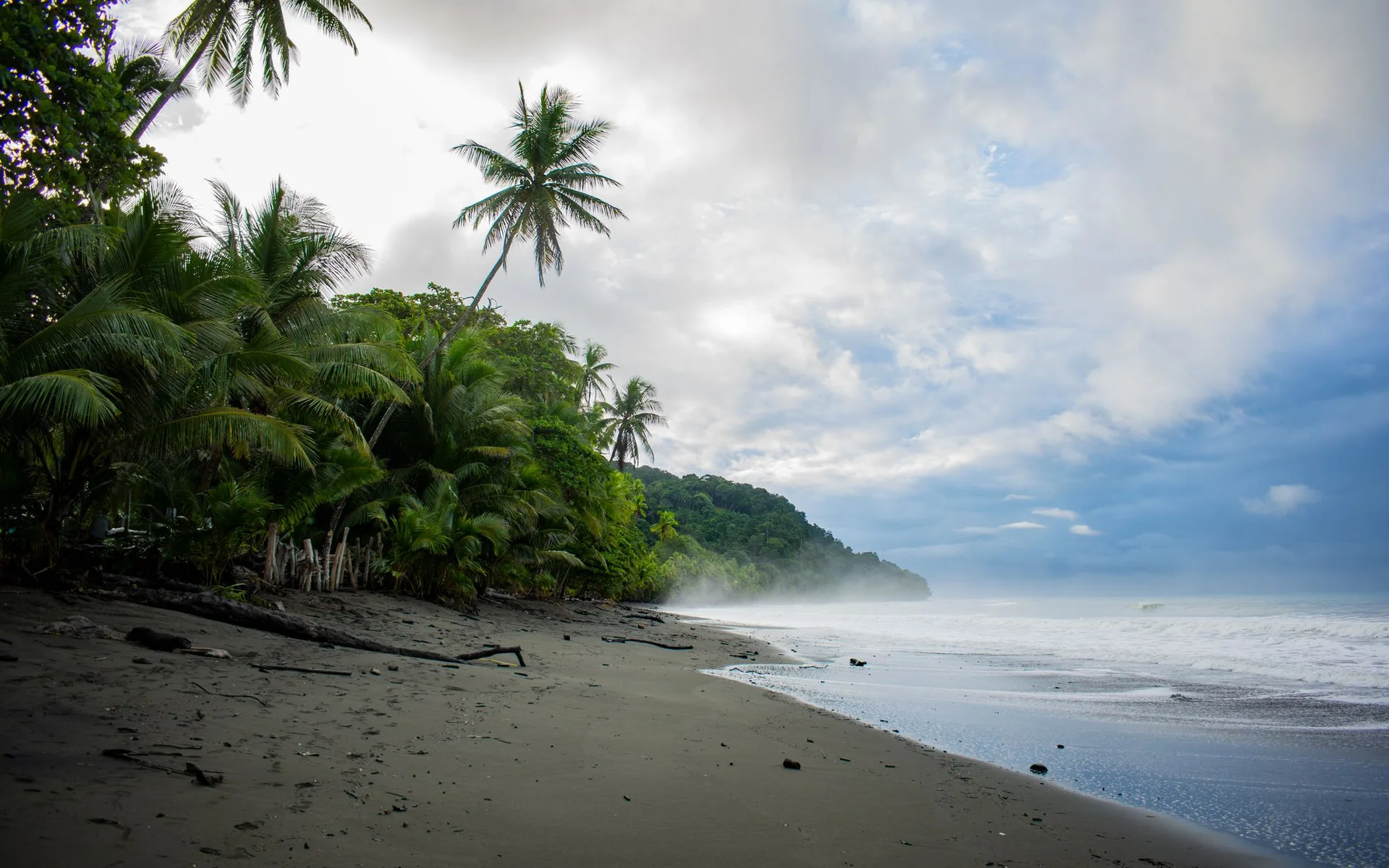 Des palmiers sur la plage de Pavones au Costa Rica