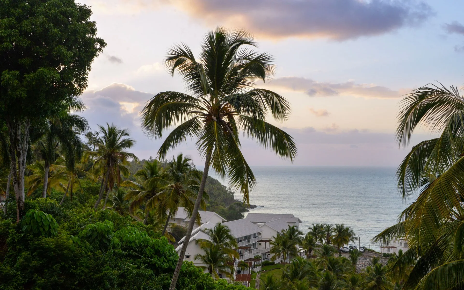 Des palmiers au bord de la mer à Samaná au coucher du soleil